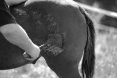 餐飲店老板該如何設計餐飲品牌在競爭中勝出并贏得顧客？